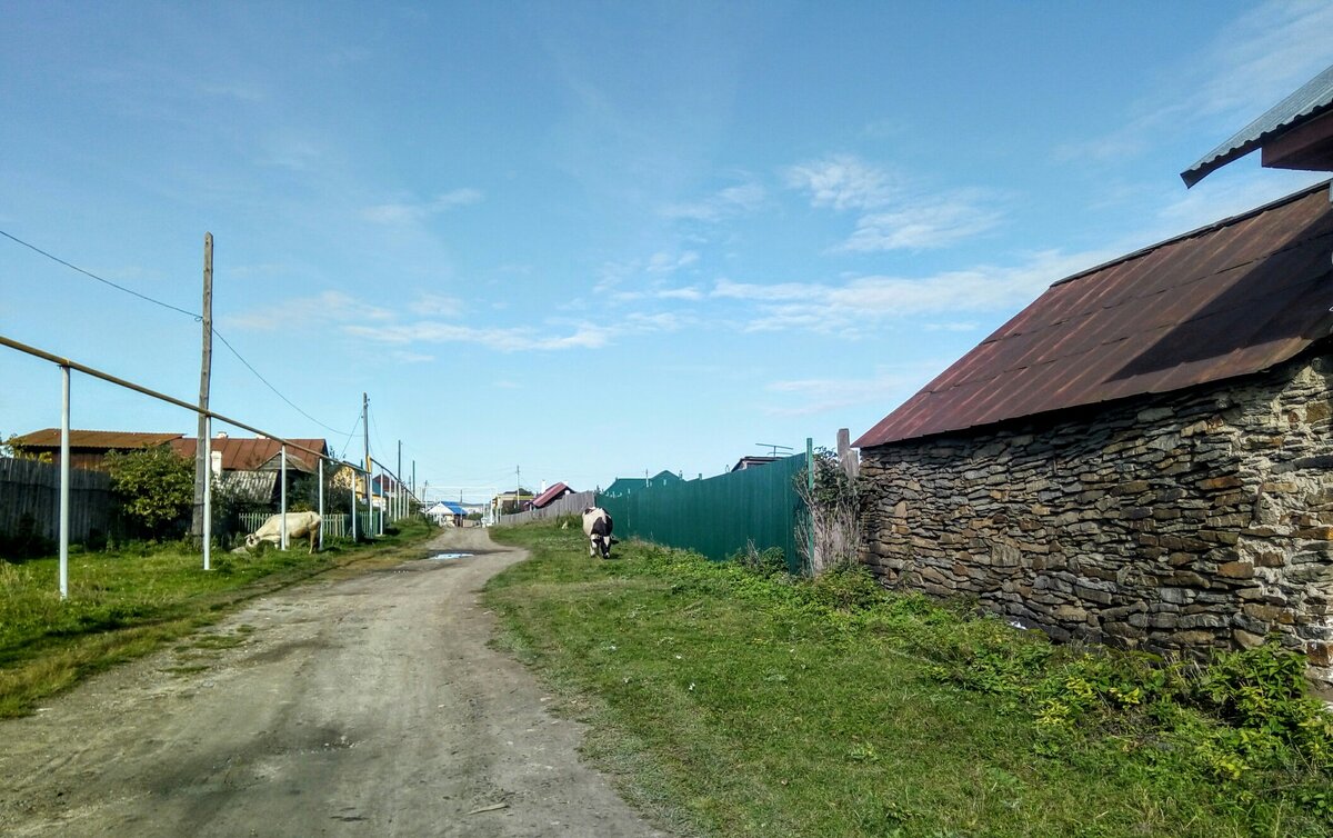 Доброго здравия, читатель!