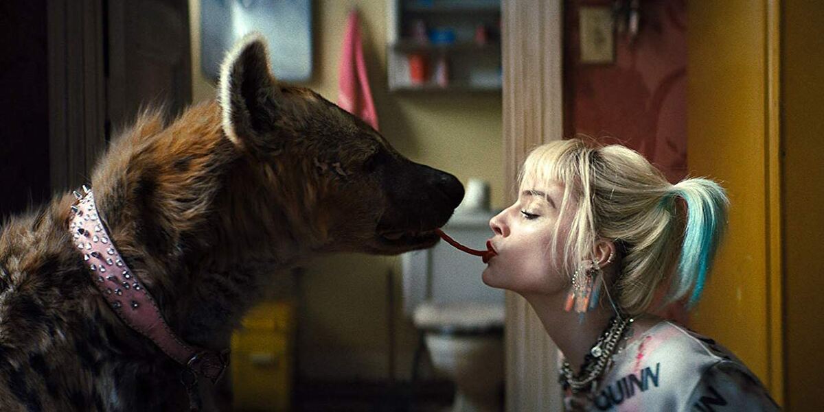 Харли Квин и ёё домашний питомец