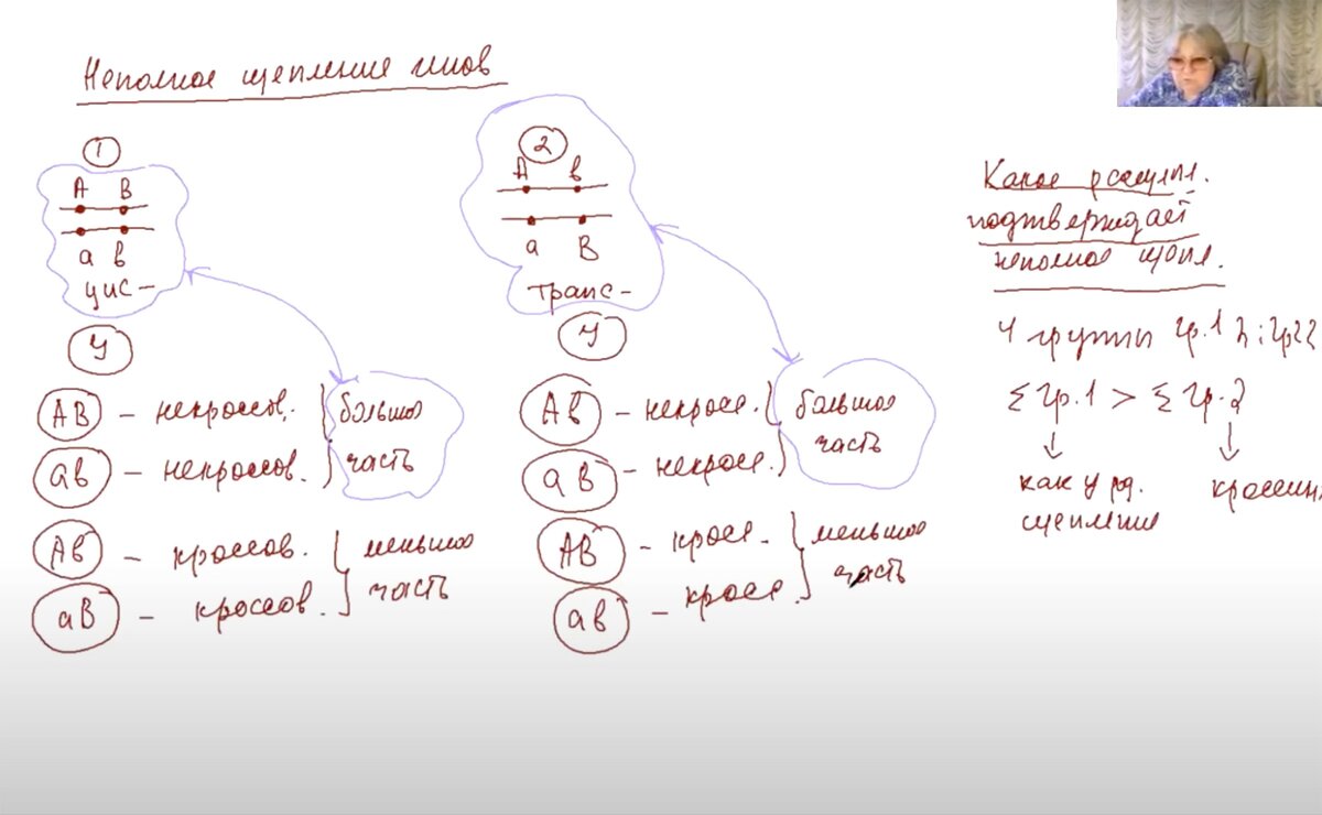Неполное сцепление генов. Объясняет репетитор Богунова В.Г.