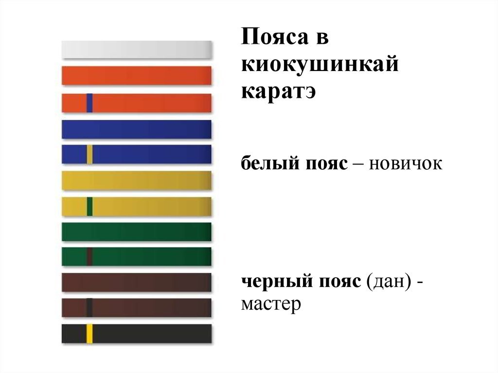 Порядок поясов в каратэ