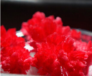 Набор для выращивания кристаллов