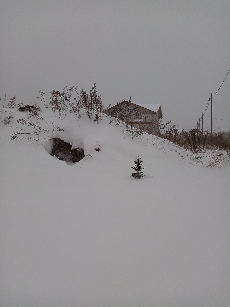 Все замело снегом... Чистила-чистила дорожку к дому, но, наверное, сейчас её уже снова замело... 