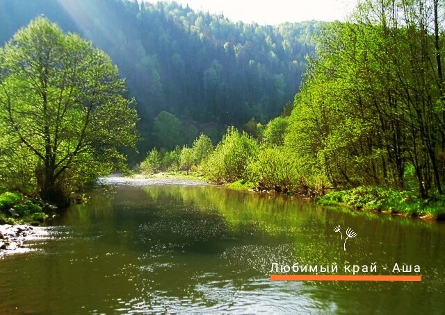 Река Ашинка 