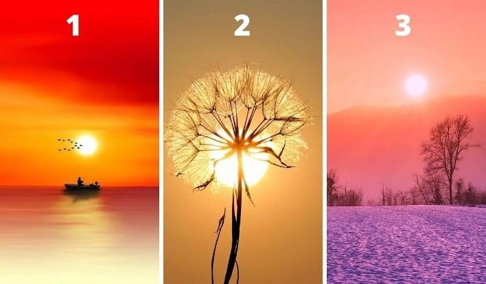 Фото: sunhome.com