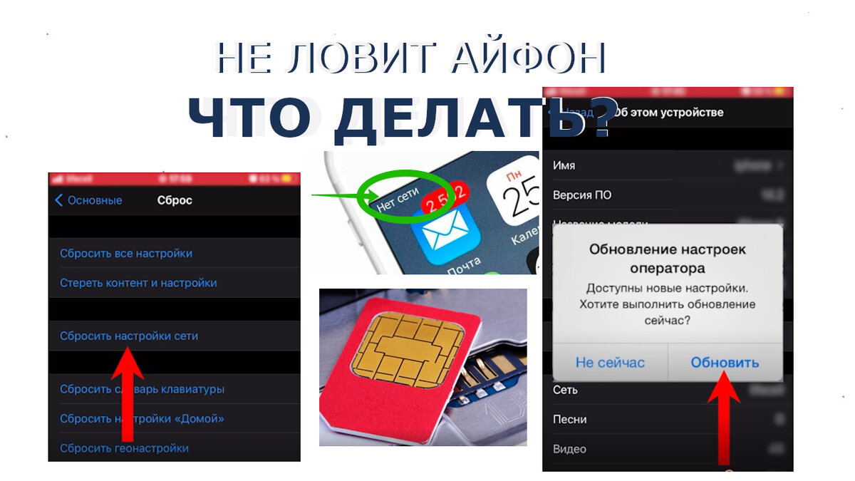 Почему на iPhone нет сети и как это исправить