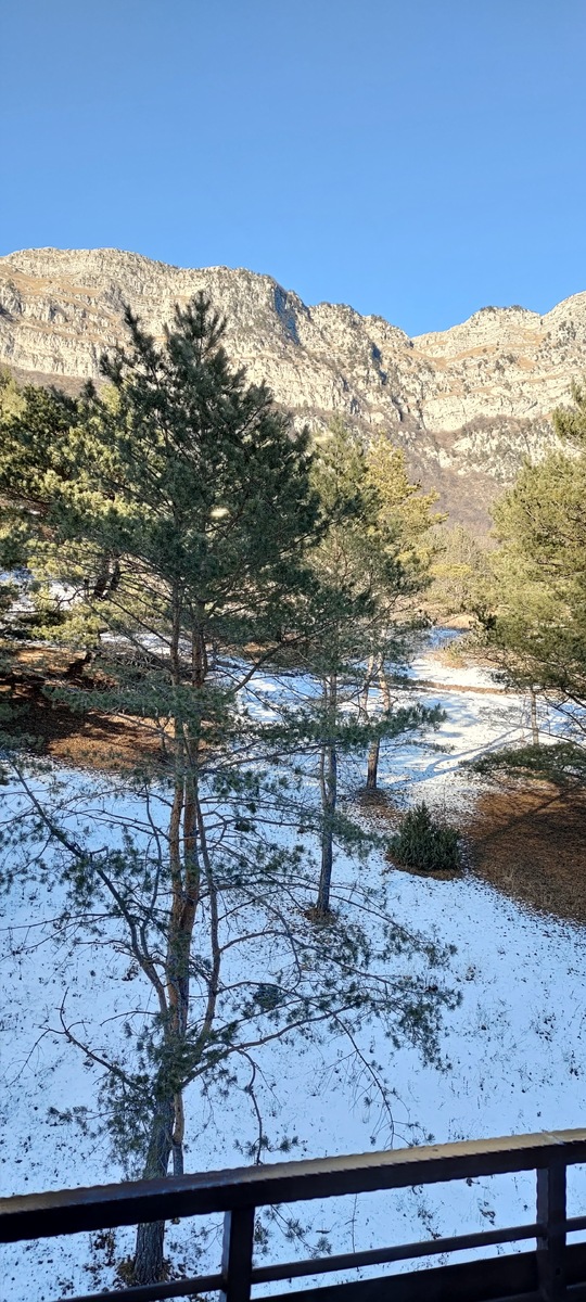 Вид из номера. И здесь мне вспоминается Европа 🤗