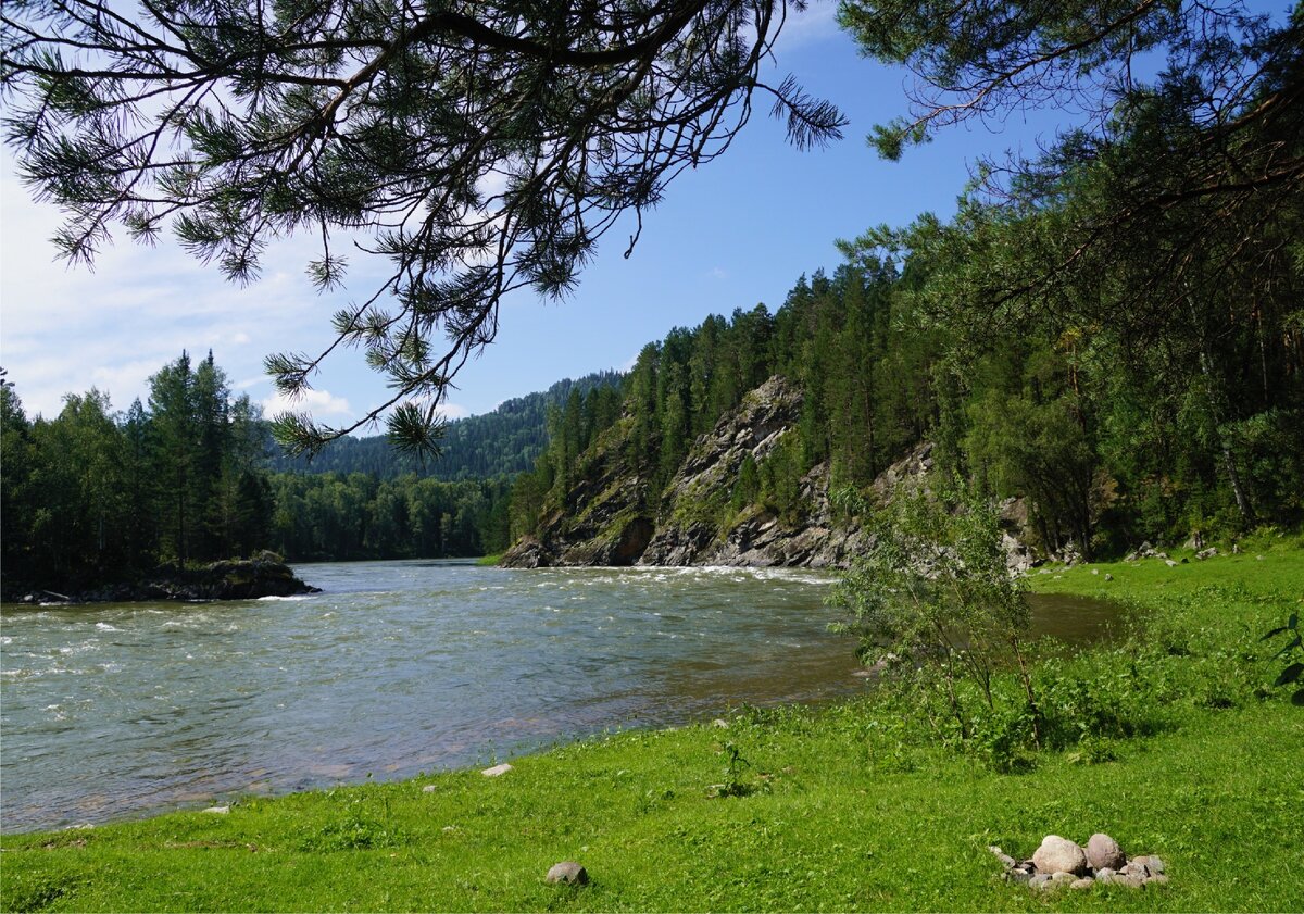 В ТАЙГЕ.фото автора.