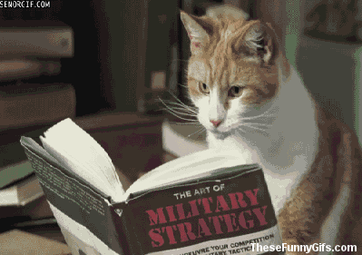Источник: https://giphy.com