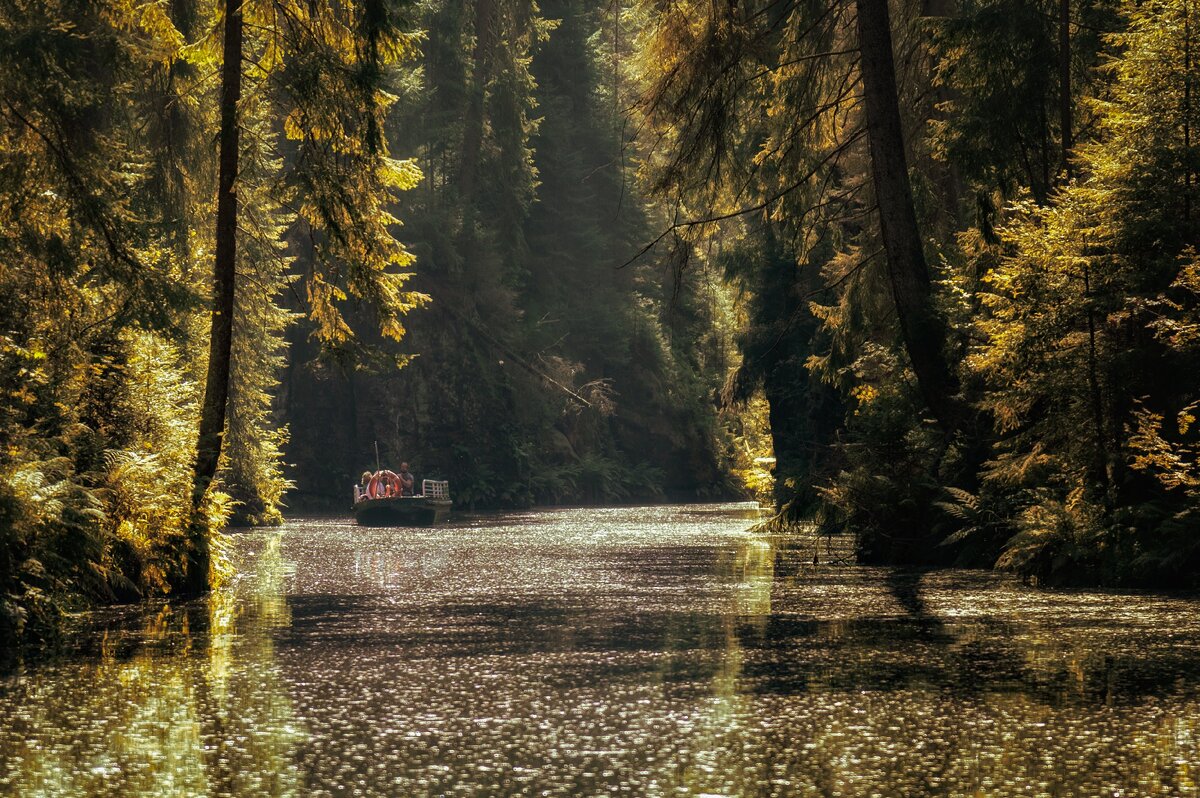 Фото взято из интернета, так как загрузить реально нет возможности. К сожалению оно не может передать того величия. Источник: Pixabay.com