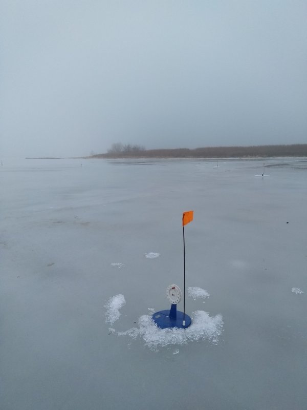 2021 г.