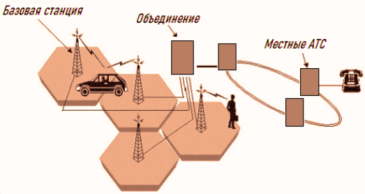 "Сотовая" связь