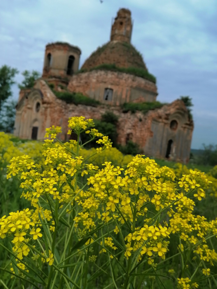 Лето. Старинная церковь. 