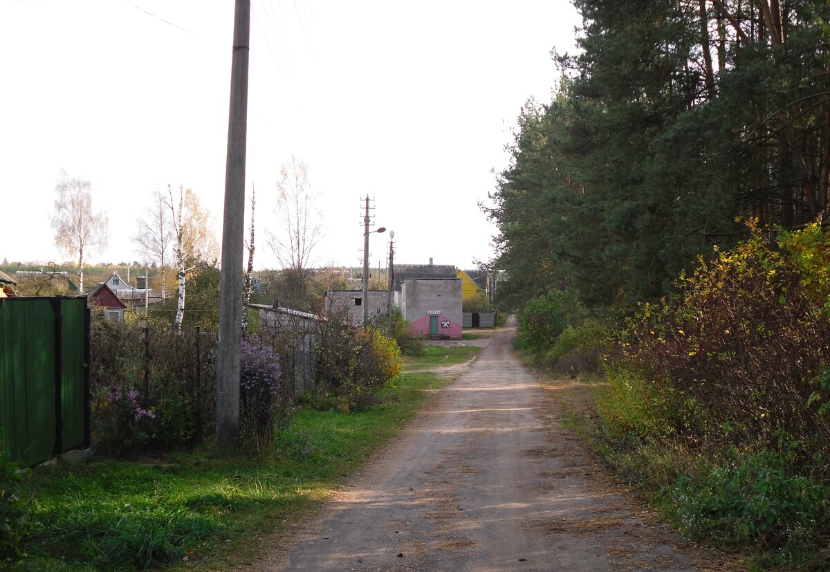 Фото автора. Слева от кирпичного строения (магазин) была дача Люды и Сашки.