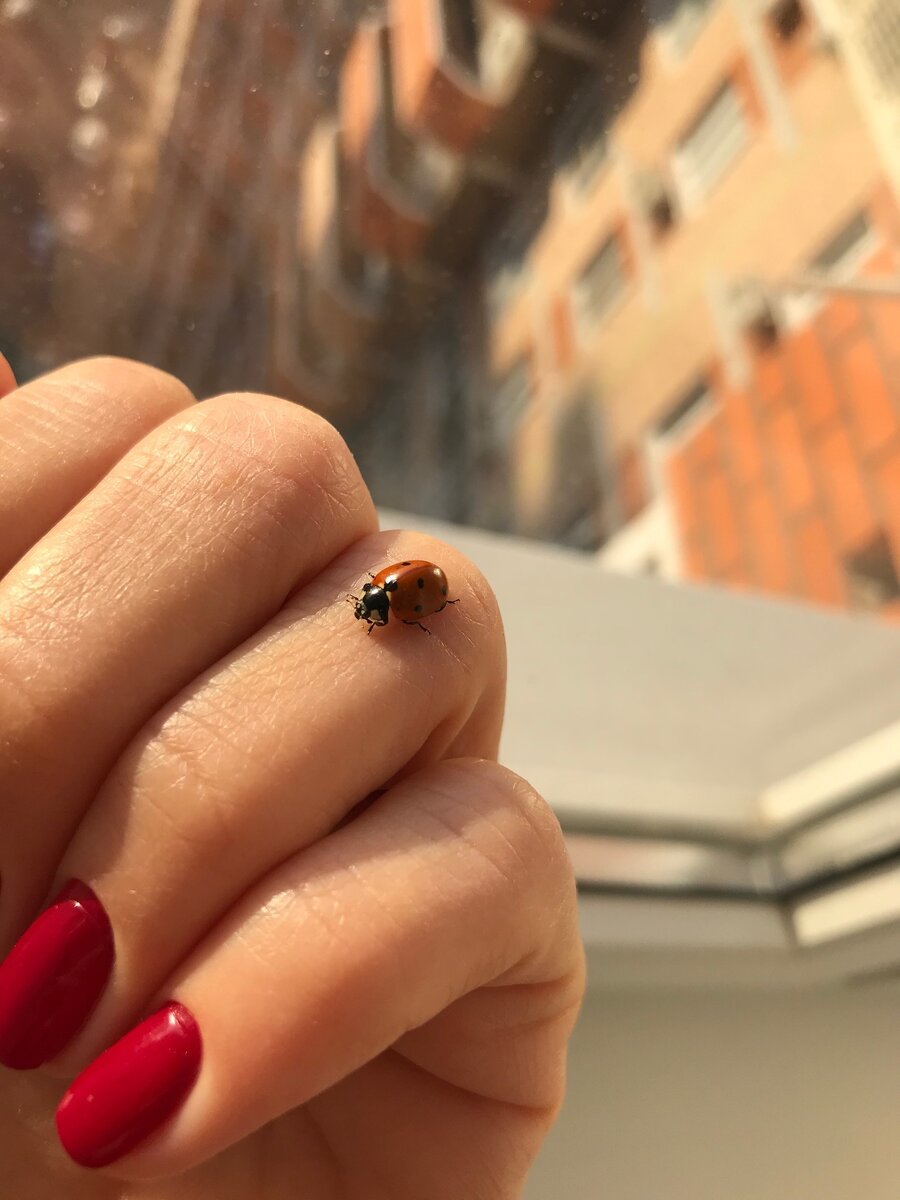 фото из личного архива