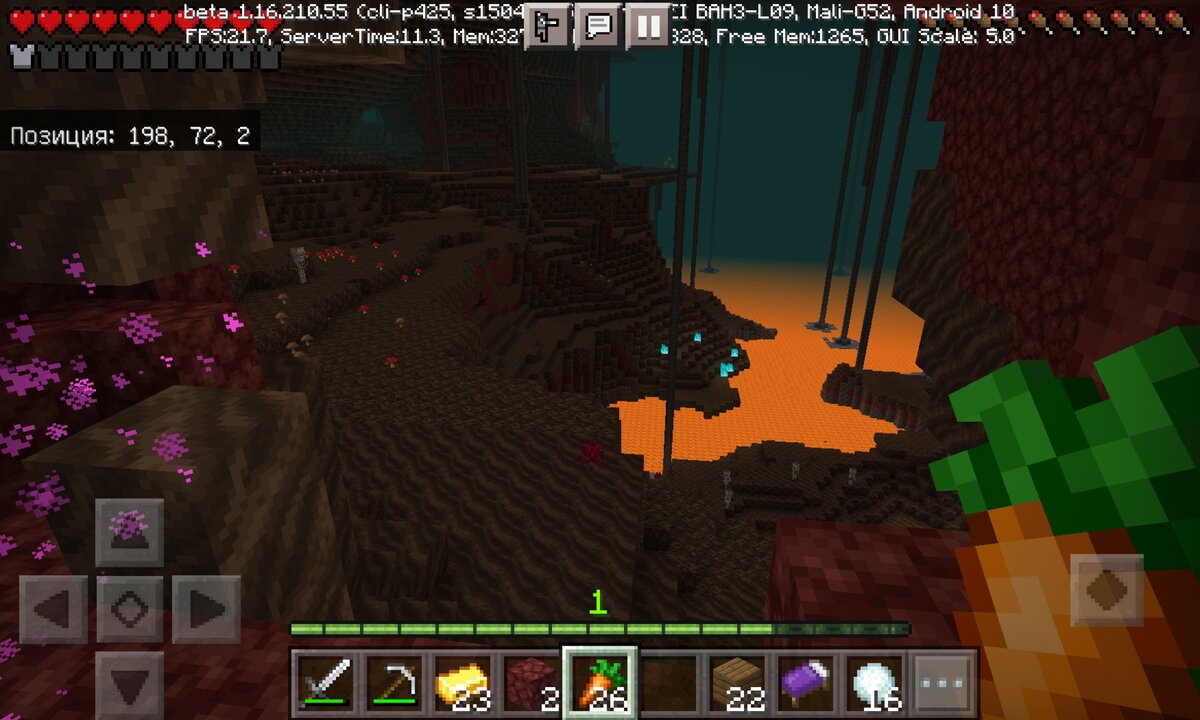 Там нет не одного пиглина! 😥