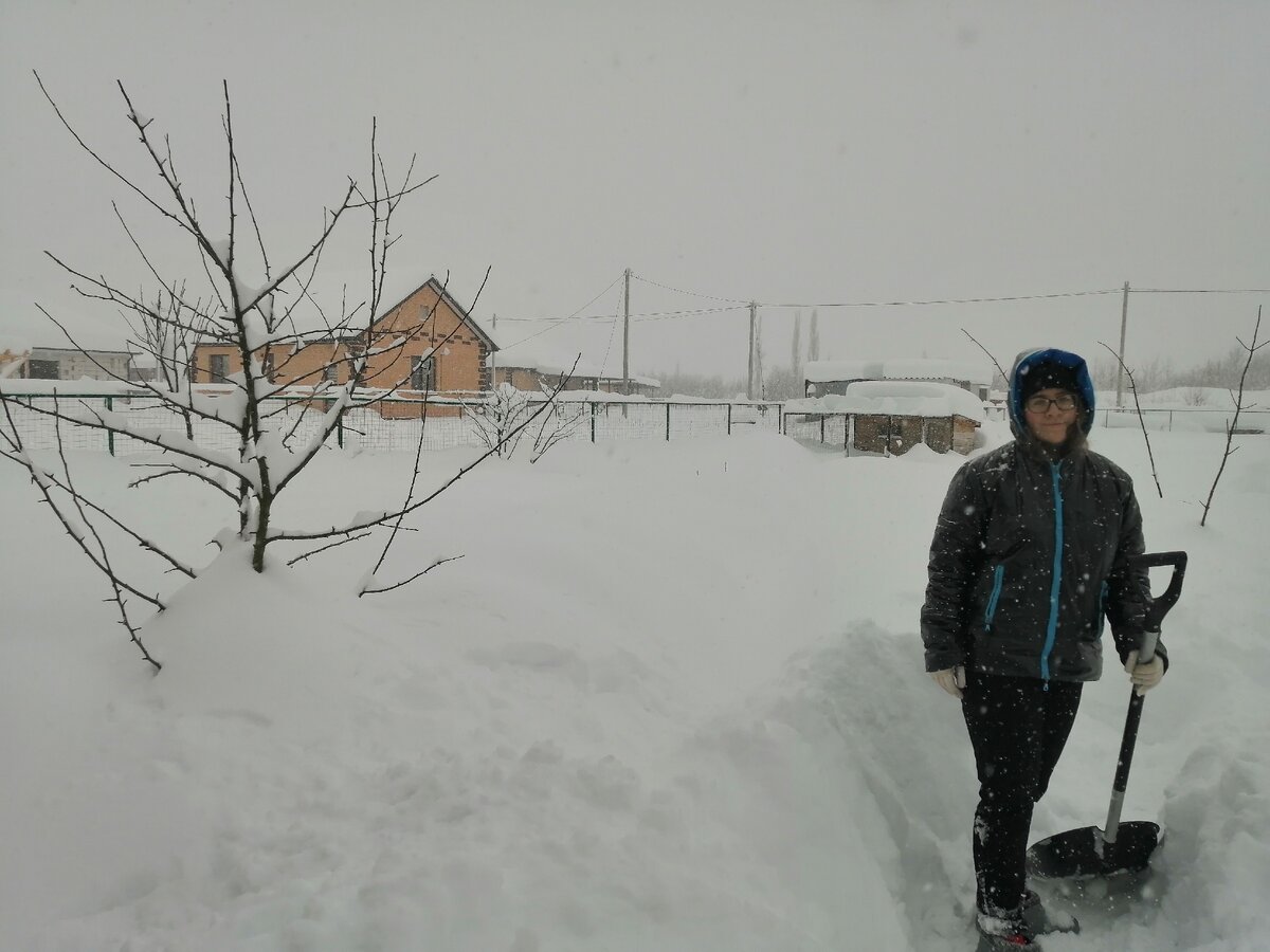 Наш сад утопает в снегу