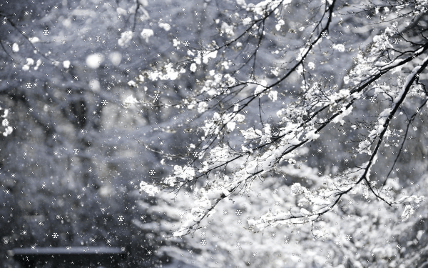 Кружился лёгкий снег