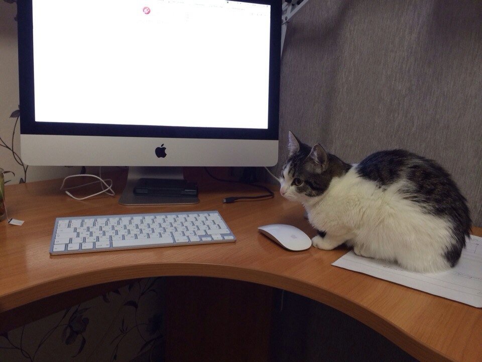 Это 21 дюймовый аймак, я его брал до 27 дюймового, потом проапгрейдился