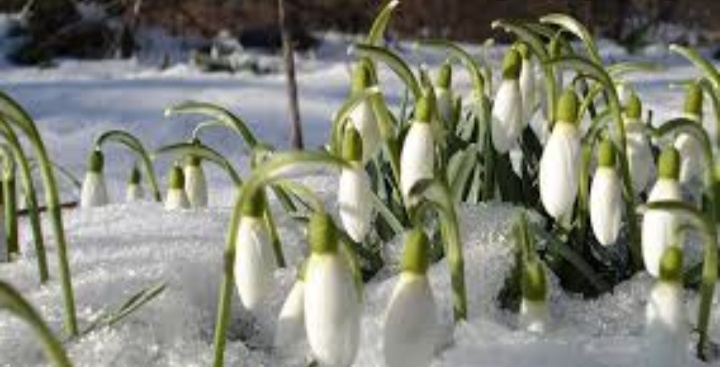 Источник Яндекс. Картинки 