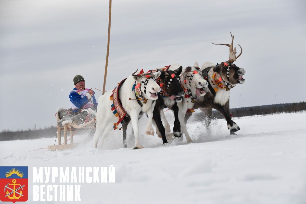 Фото: Лев Федосеев