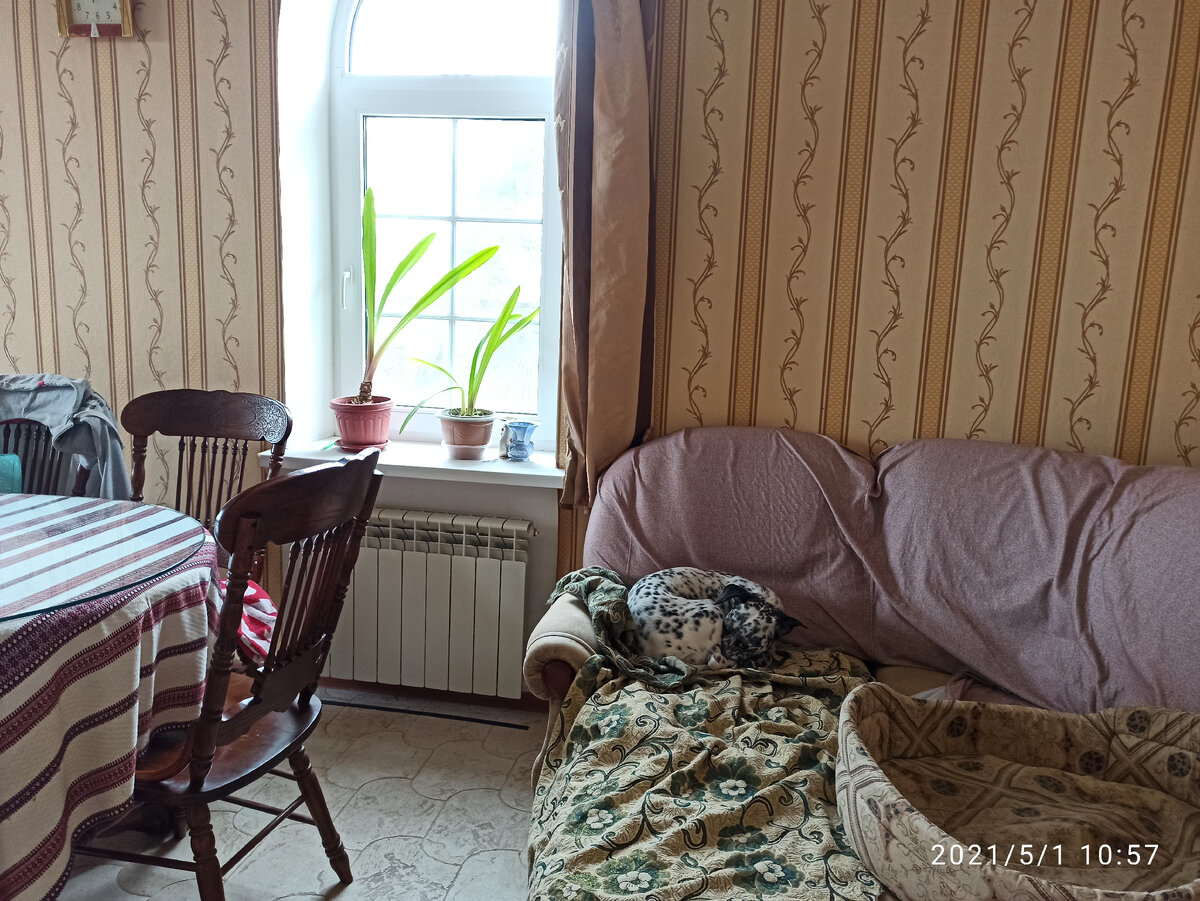 Фото автора: постараюсь убрать вещи со спинок стульев. Покрывала подравняю. Лишний хлам попрячу, собака продолжит жить на диване)))