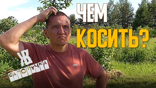 Мотокоса, газонокосилка или триммер. Рассказываю чем косить