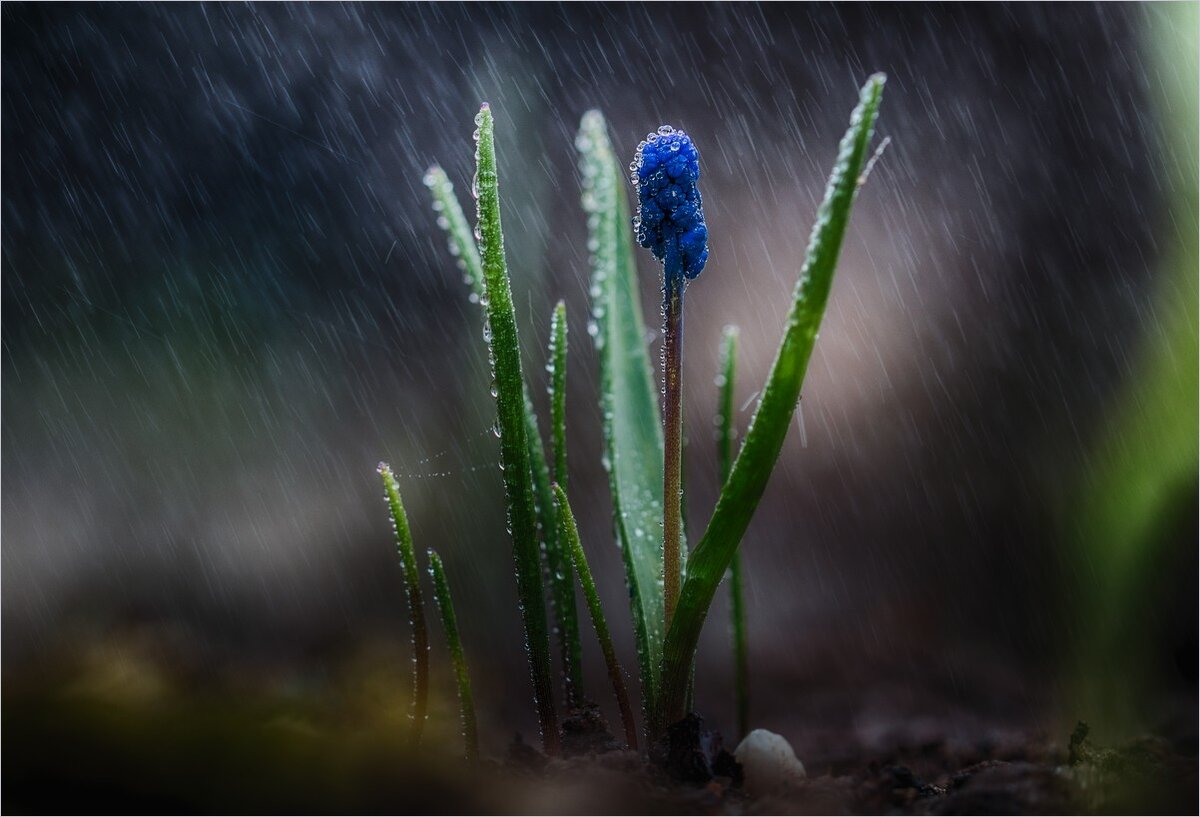 Автор фото Игорь Хрусталев (https://photo.99px.ru/photos/149706/)