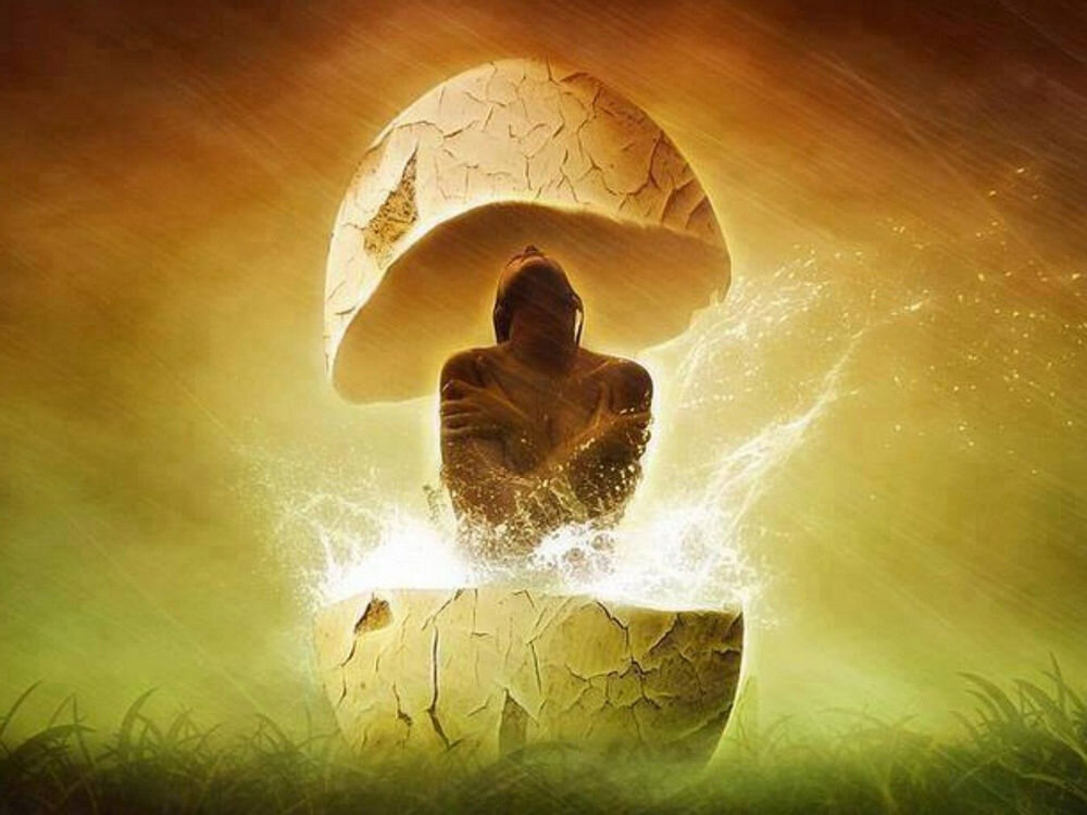 Лариса милина картины. Духовное рождение человека. Эзотерические иллюстрации. Энди вейр яйцо. Божественный свет творец.