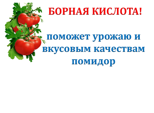 Борная кислота обработка томатов для завязи дозировка