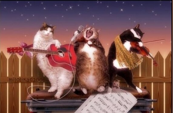 Идеи для развлекательного контента