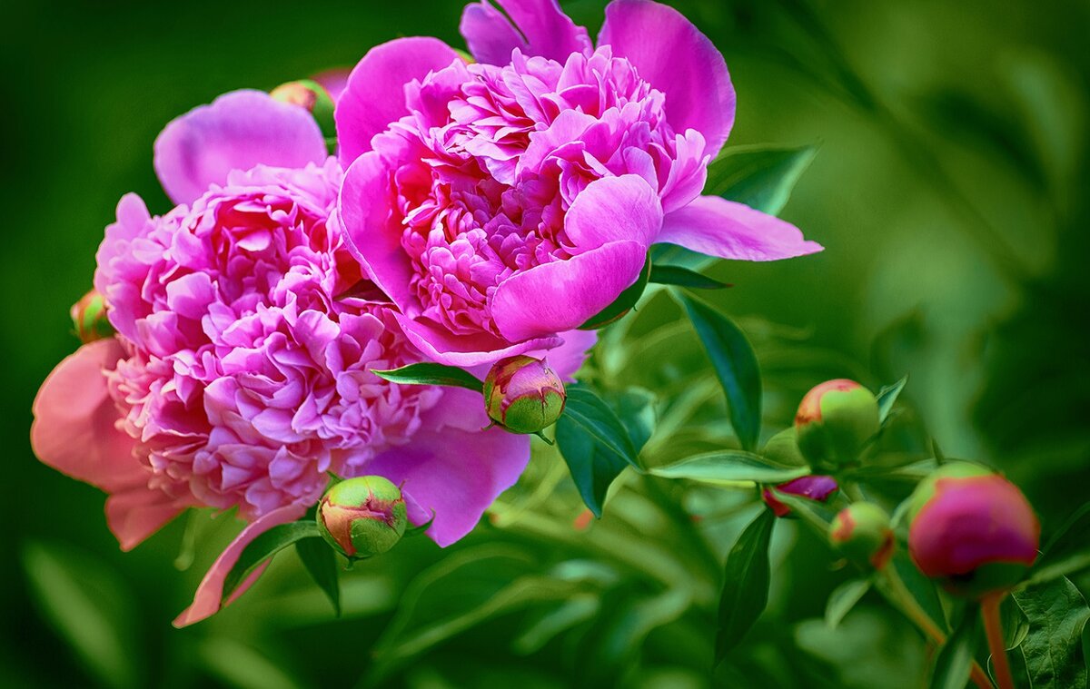 Изображение взято с сервиса Яндекс Картинки