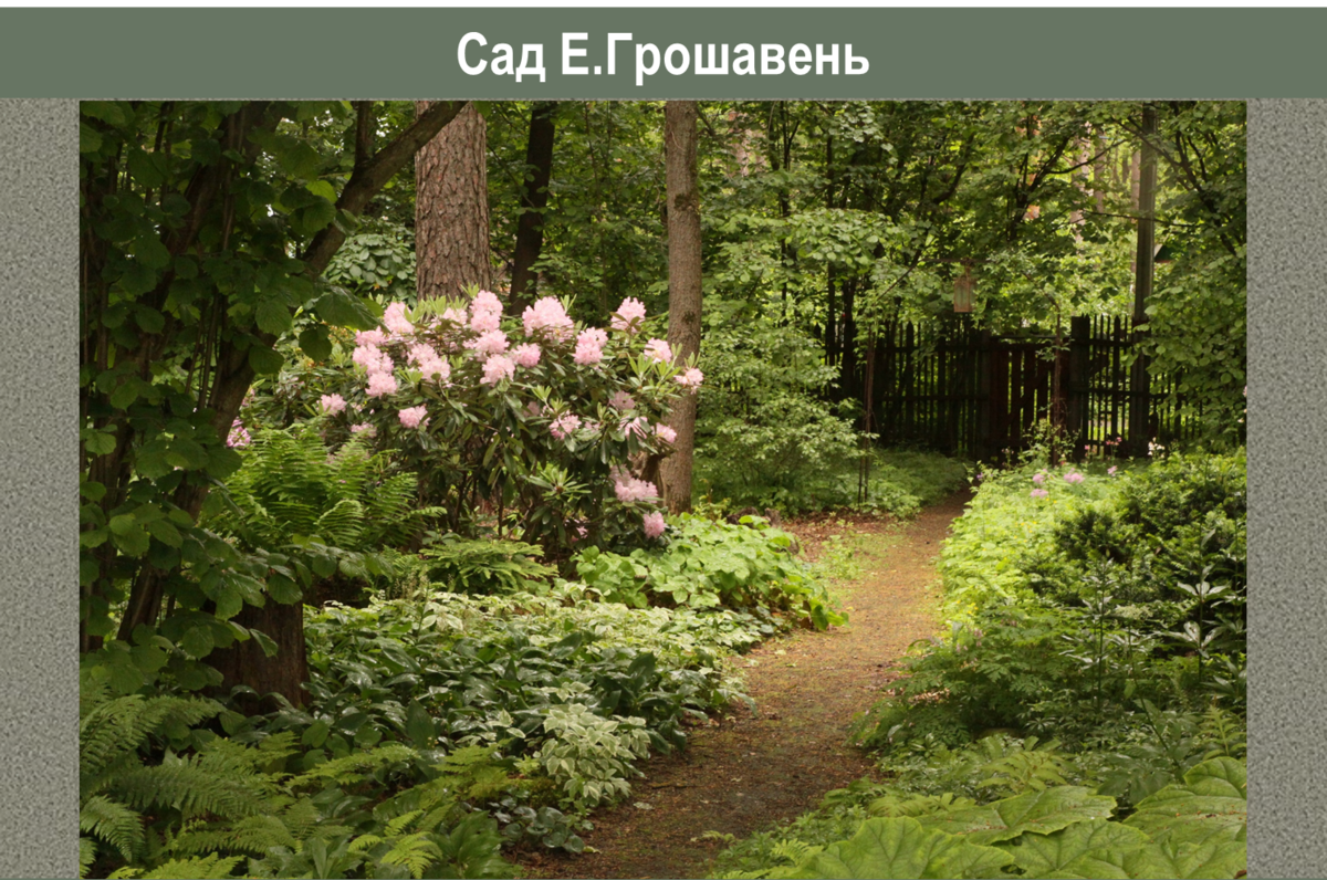 Сад, не требующий ежедневной прополки: как визуально уничтожить сорняки ...