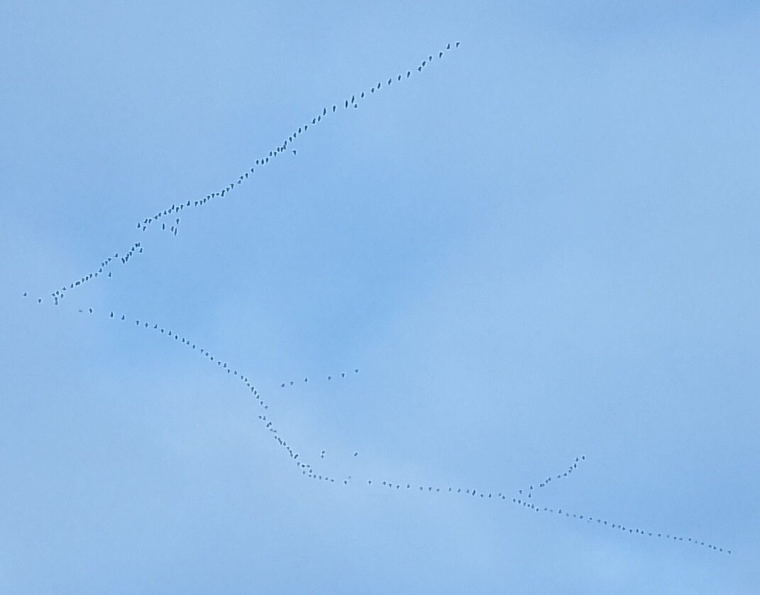 -2-2