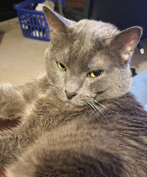 Фото © Reddit / ShoMibu