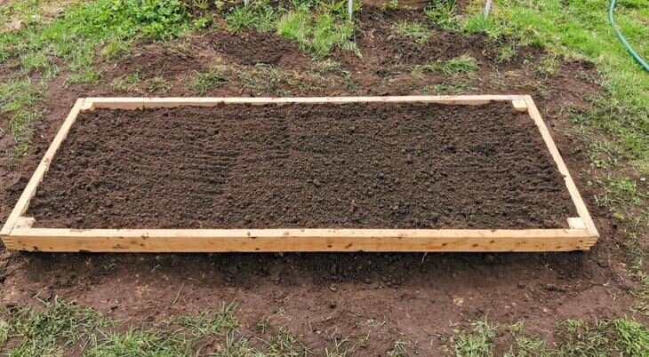    Самый дешевый вариант живой мульчи на зиму для приподнятой грядки первогодки