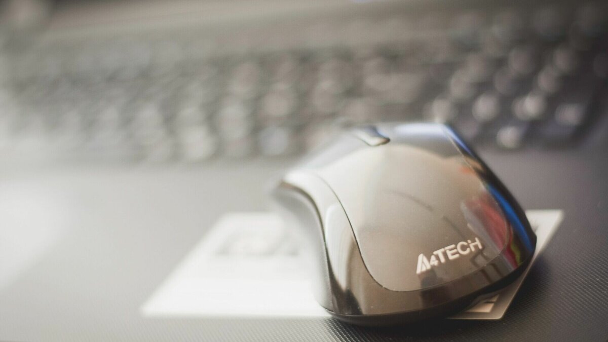     Сайты большинства министерств и правительства Нижегородской области не открывались из-за сбоя в работе у провайдеров каналов связи. Такую информацию предоставили в региональном минсвязи.