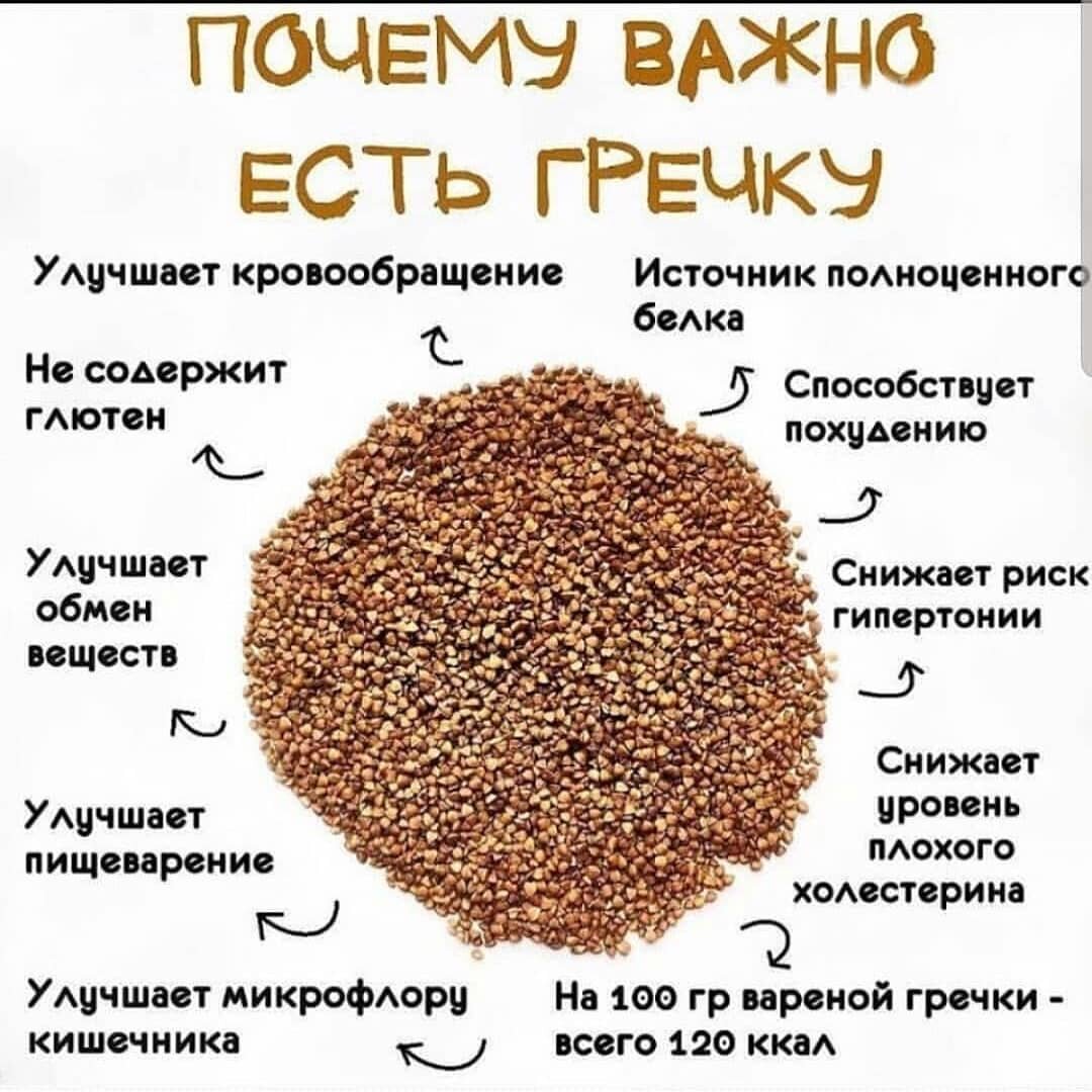 Польза гречки - источник фото сайт https://clck.ru/32e3LK