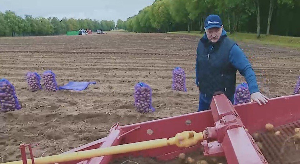     Лукашенко стал героем клипа на песню «Бульба-дэнс». Фото: скриншот с фрагмента видео, опубликованного в телеграм-канале «Пул Первого»