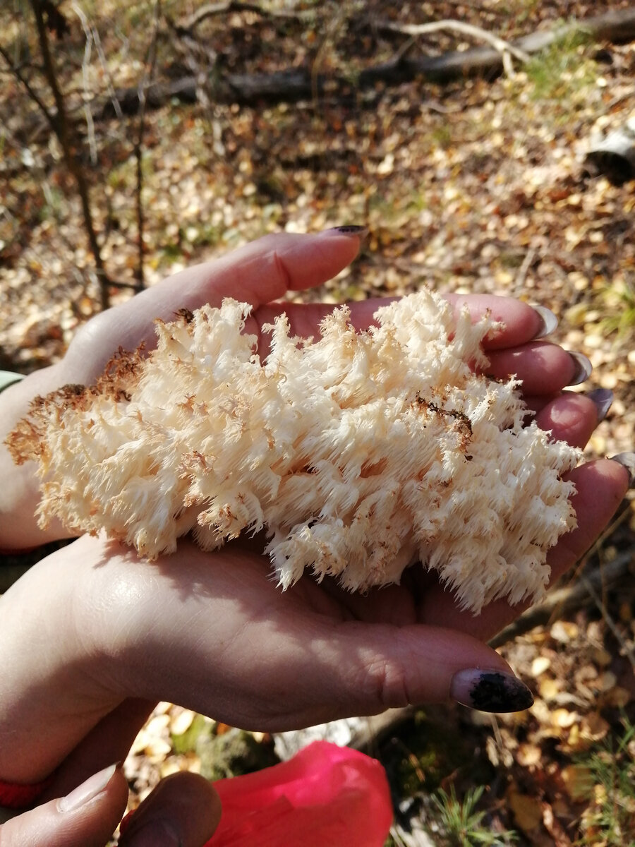 Моё личное фото