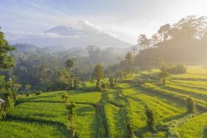    Фото: unsplash.com Ирина Моргунова