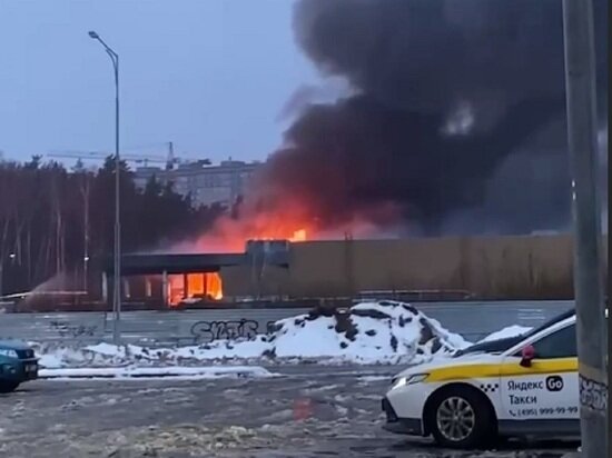     источник фото: скрин видео