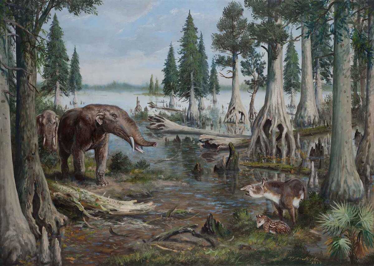 Мастодонт гомфотерий