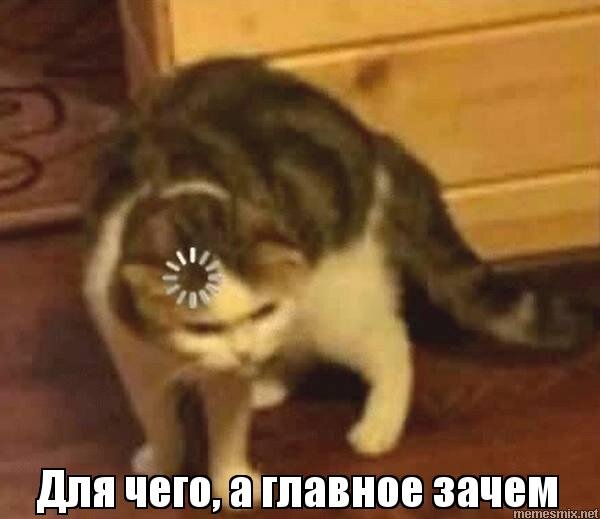 Как мало мы спрашиваем себя