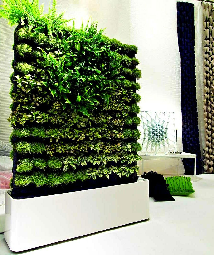 Зеленая стена: все о вертикальном озеленении в современном интерьере