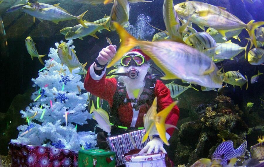 Фото взято на просторах сети интернет