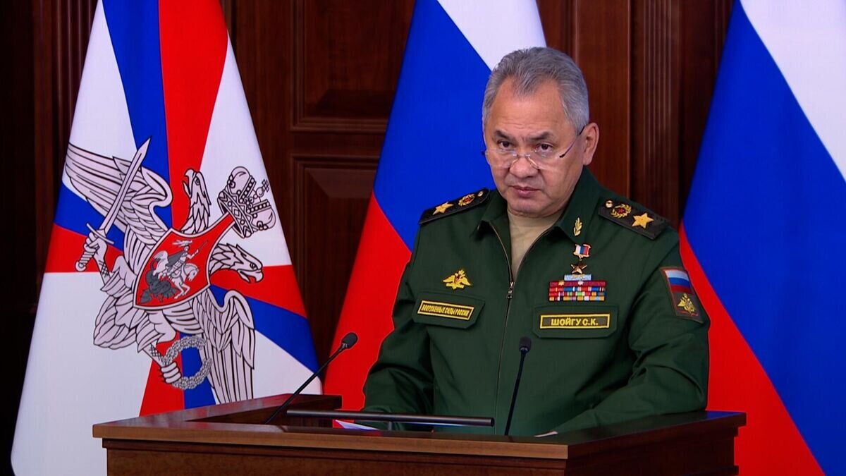    Шойгу об изменении возраста призыва и увеличении численности ВС РФ© Ruptly