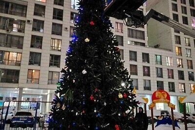    «Самая ГУСТая елка во дворе Подмосковья» © Пресс-служба Главного управления содержания территорий Московской области