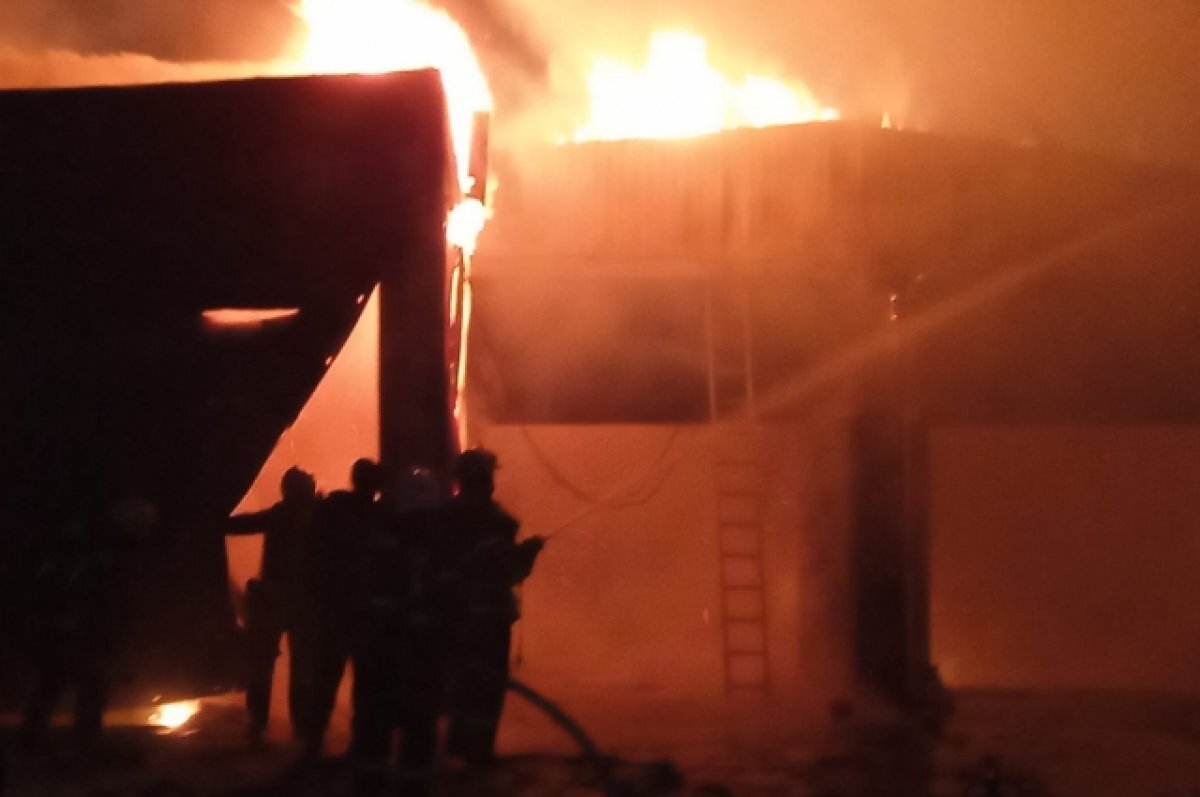    В пожаре на проспекте Солидарности в Петербурге погибла женщина