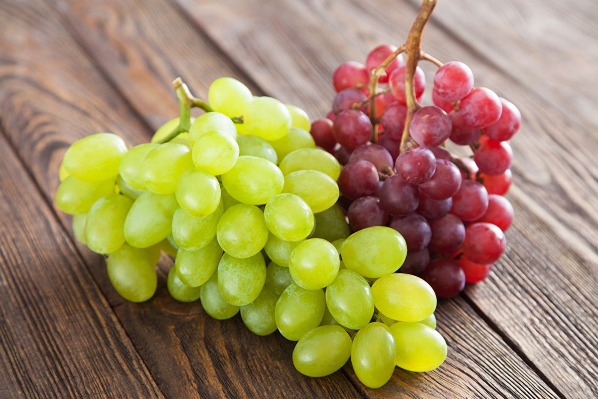 Разнообразие и польза винограда: виноградный мир