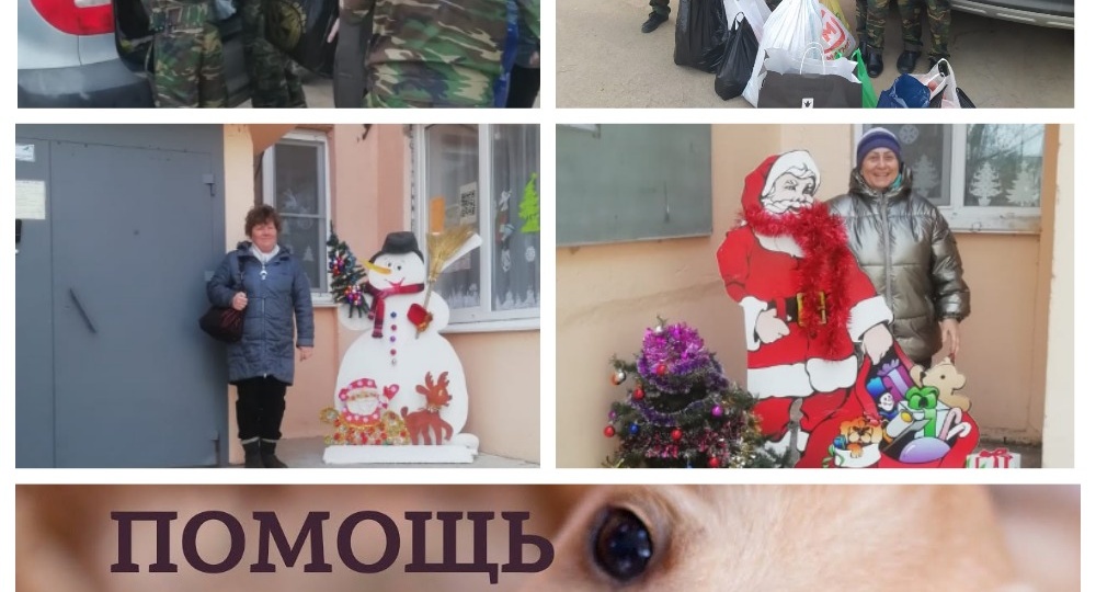 Акция помощи бездомным животным нашего города в Кадетской школе им. С.А. Солнечникова!